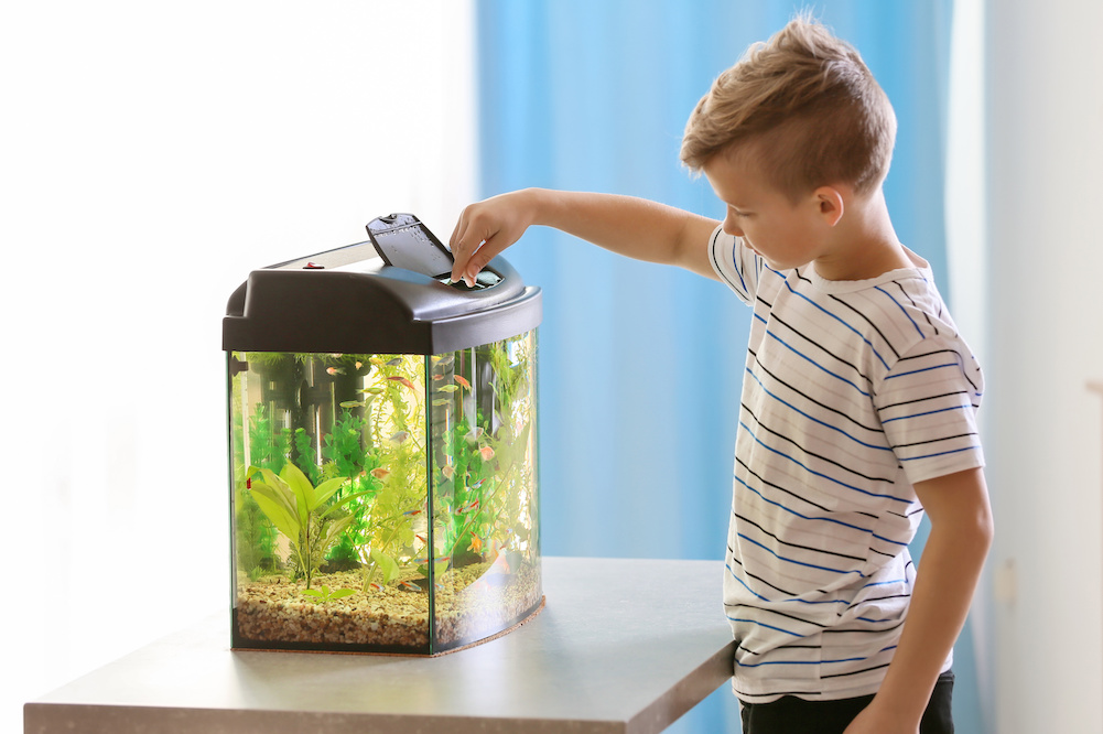 aqueon led minibow aquarium kit review